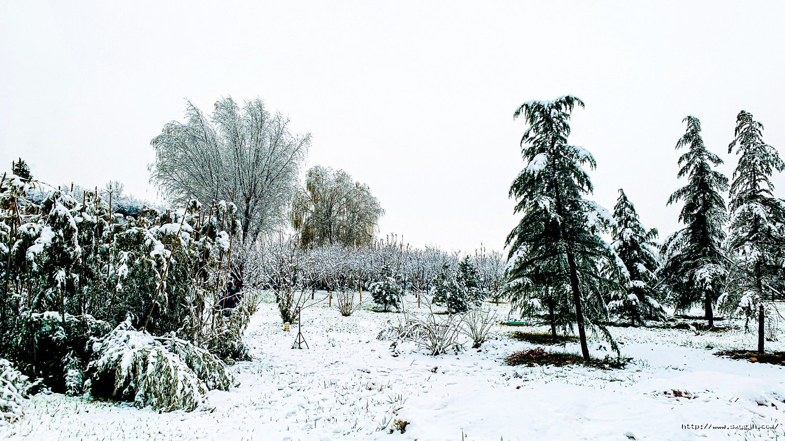 4版 雪景遠(yuǎn)景.jpg